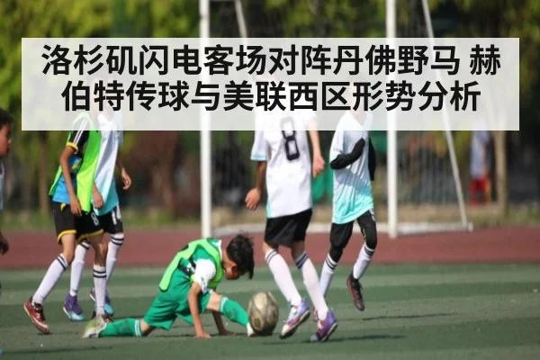 洛杉矶闪电客场对阵丹佛野马 赫伯特传球与美联西区形势分析